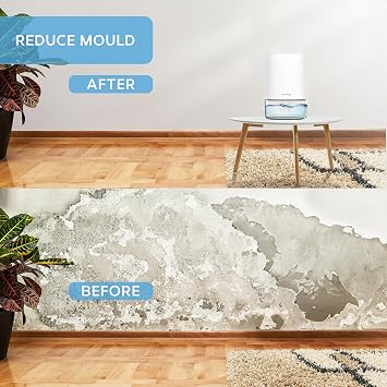 Portable Compact 1100ml Mini Dehumidifier - Electric Energy Efficient - Mould, Mildew, Damp & Condensation Remover for Home, Office, Garage - Super Quiet <30dB 7 LED Mood Lighting Colours