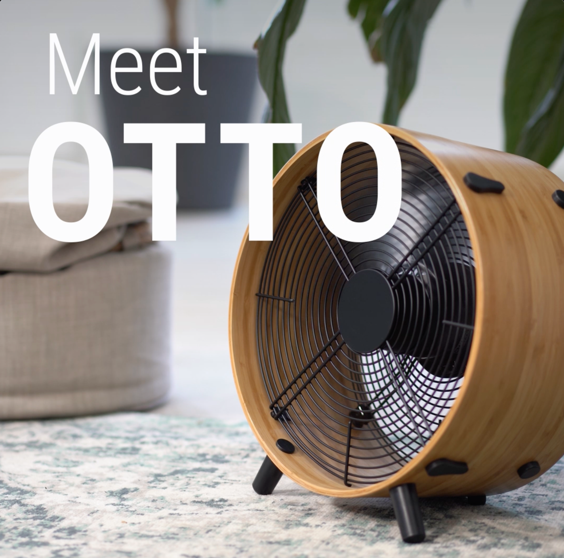 Amazon.com: Stadler Form fan Otto, made of bamboo, with 8 speeds