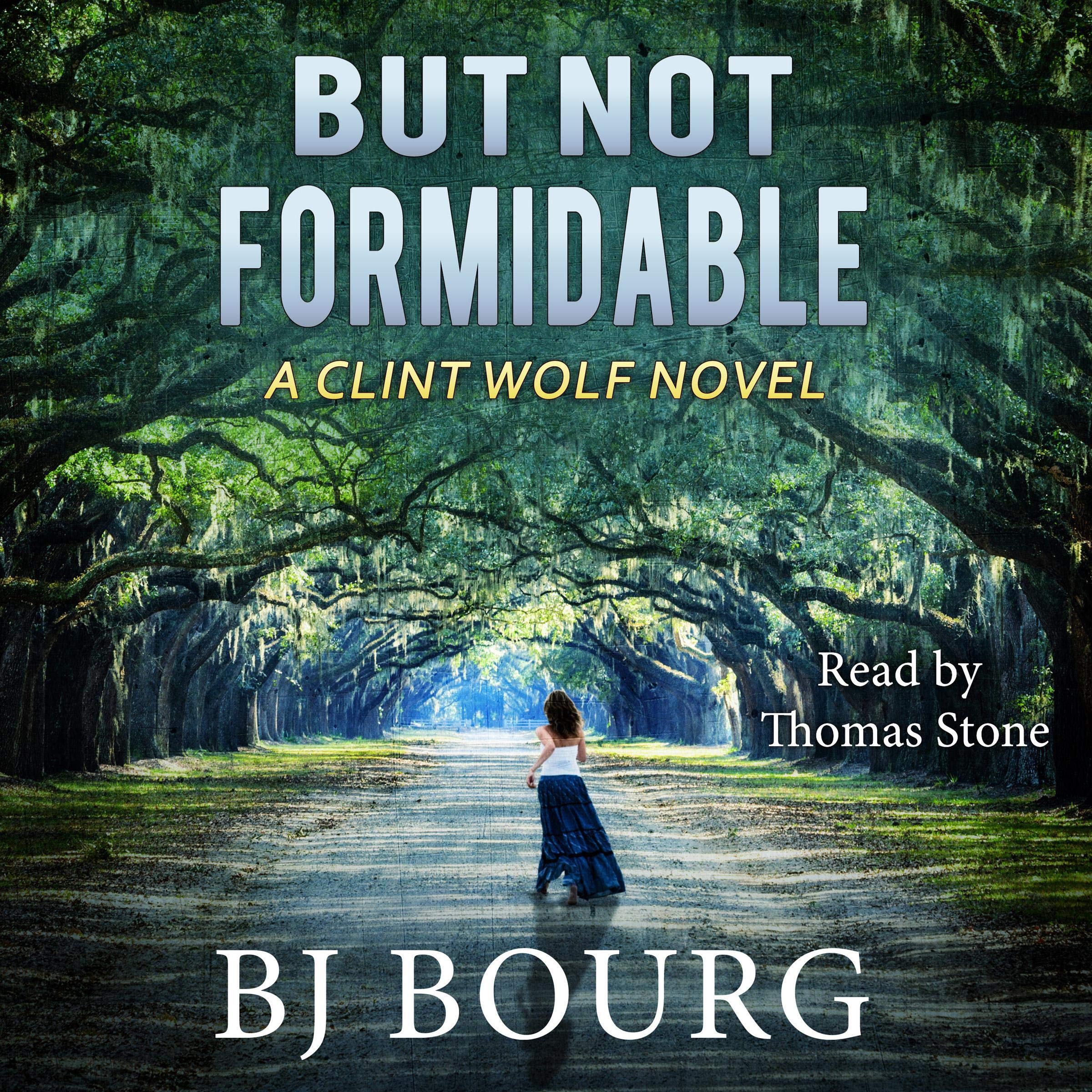 Cover art for But Not Formidable: A Clint Wolf Novel