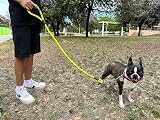 Ver la foto 4
