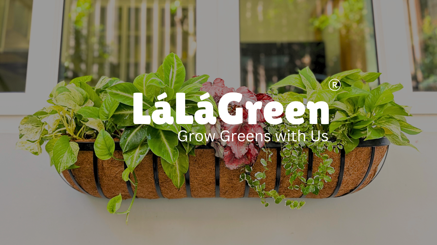 LaLaGreen 48" Wall Hanging Planter - 2 Pack Window Flower Boxes With Coco Liners - View #5