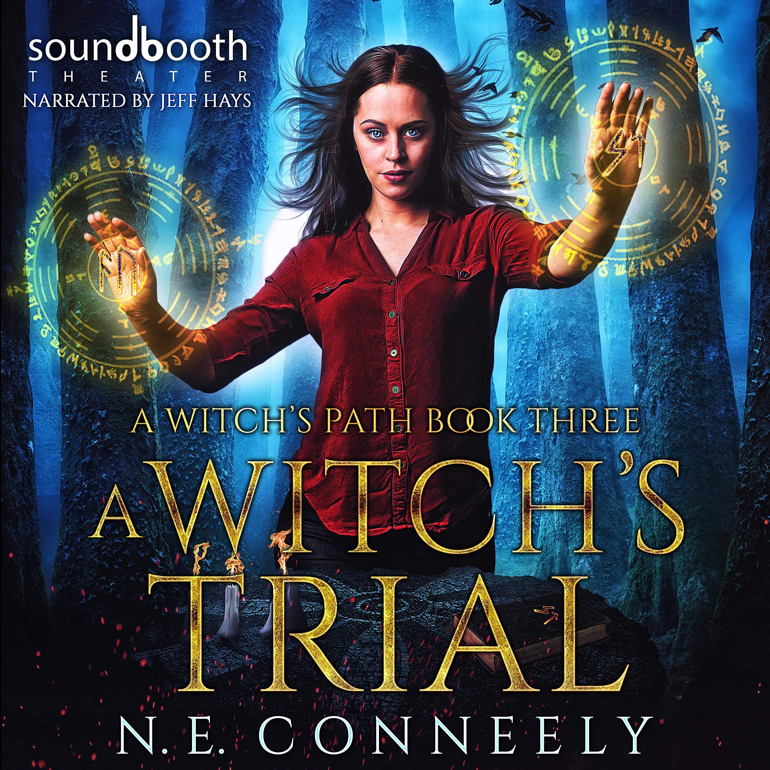 Cover art for A Witch's Trial