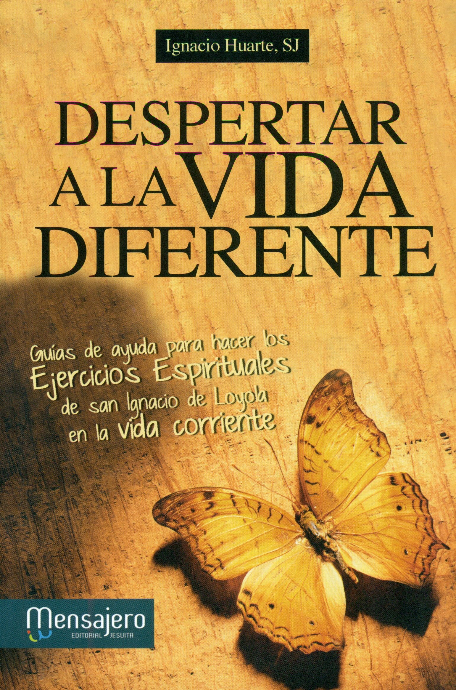 Despertar a la vida diferente: Guía de ayuda para hacer los Ejercicios Espirituales de San Ignacio de Loyola en la vida corriente