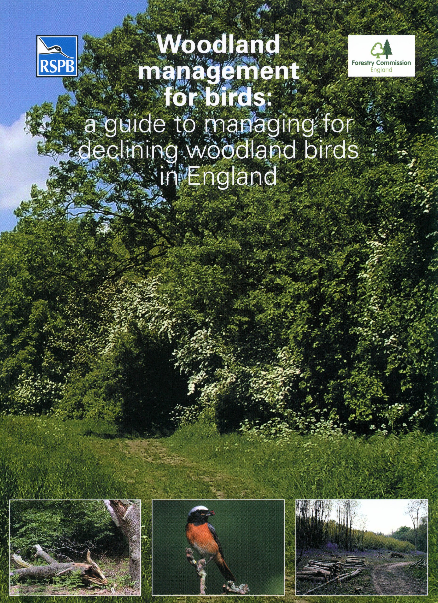 自然保護（全４巻） Conservation (4-Volume Set) Woodland Management for Birds: Symes, N., Currie, F