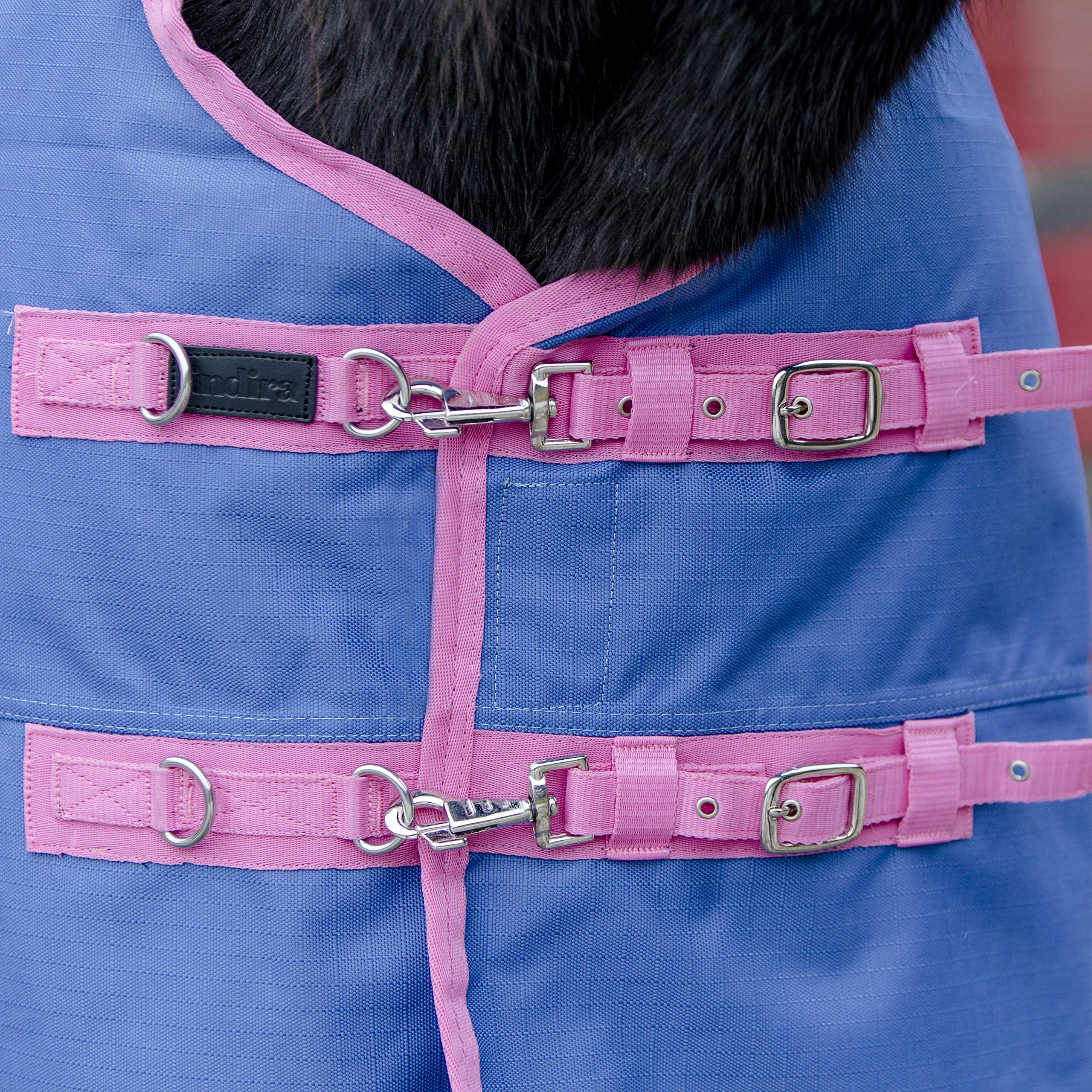 Pferdedecke-Winter indira pro 400g Wasserdicht Ripstop 1200d high-Neck (145 cm, Blau 01 - Pink 01)