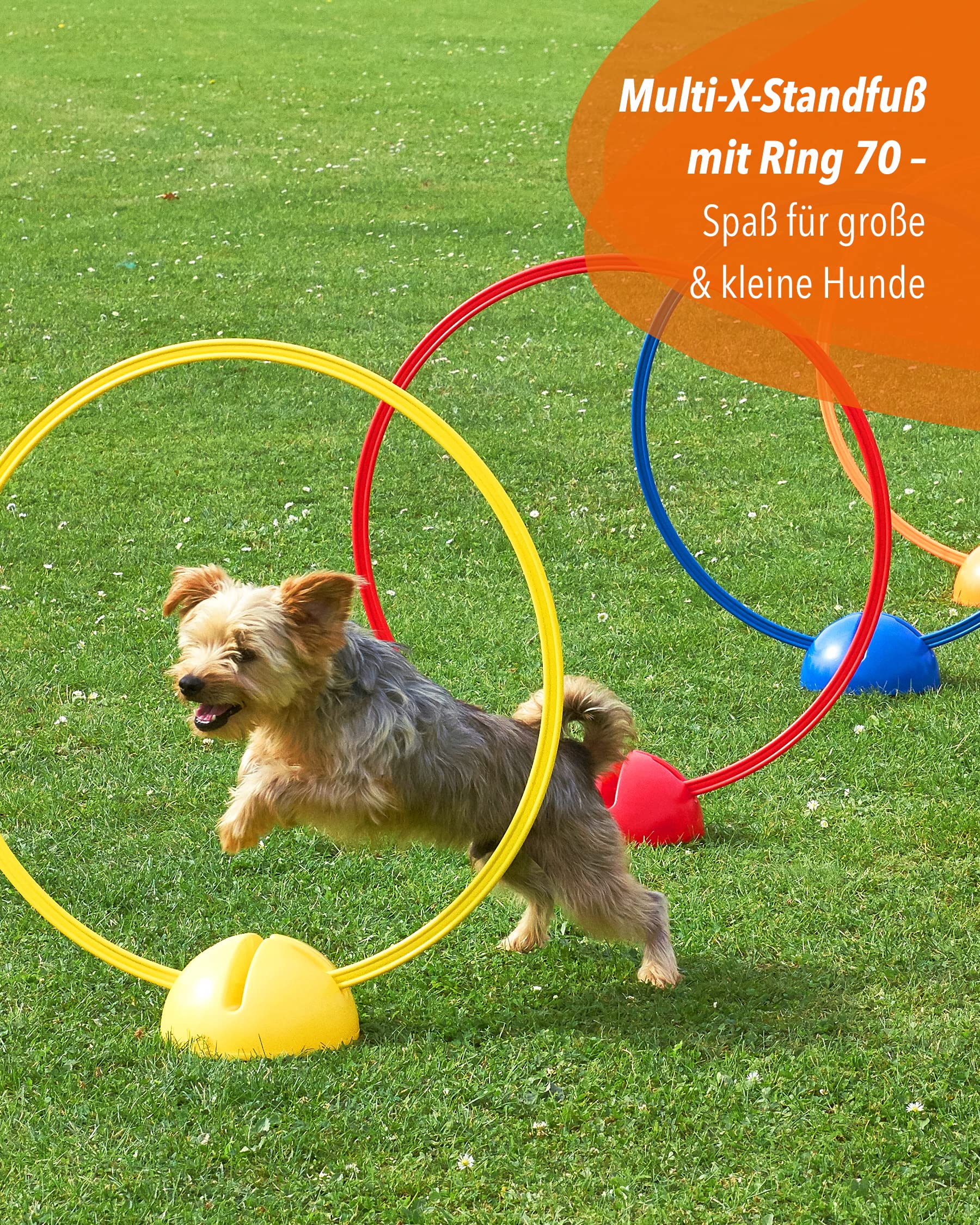 Kombi-X-Standfuß & Kombi-Ring 70 – 4er Set – Multi-Fuß zum Aufbau von Sprung- & Hürden-Parcours – Trainingshilfe für Fußball, Leichtathletik & Hundesport