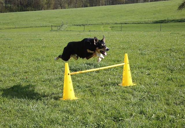 Foto 6 de 6 de KERBL PET Agility Cone-Three Hurdle - Set de 3 Conos, Color Amarillo