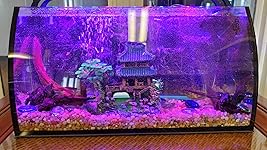 Review Image by miniskunk miniskunk