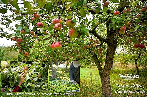 Miniatura 30 de Martinelli's Gold Medal - Jugo espumoso de manzana y arándano, 8.4 onzas líquidas, paquete de 12