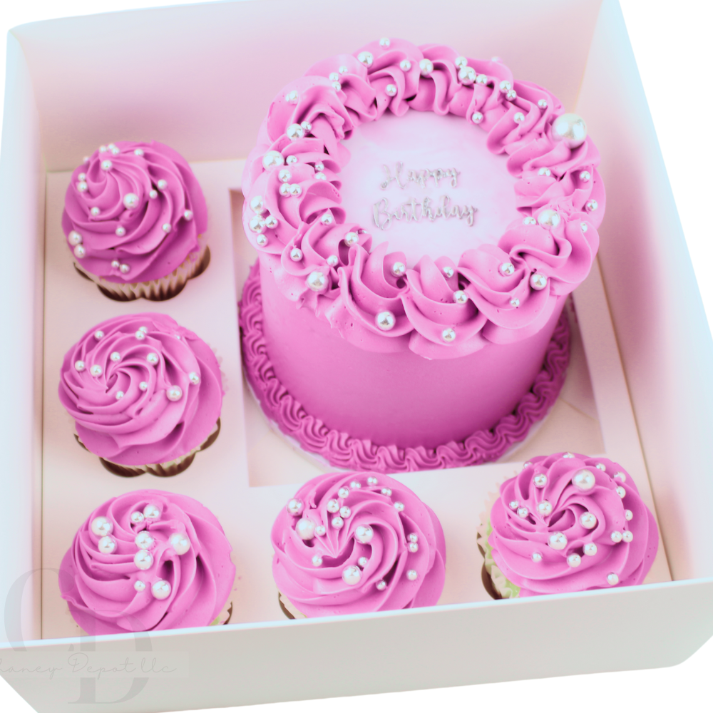 Amazon.com: Chaney Depot LLC Bento cake and cupcake box with clear