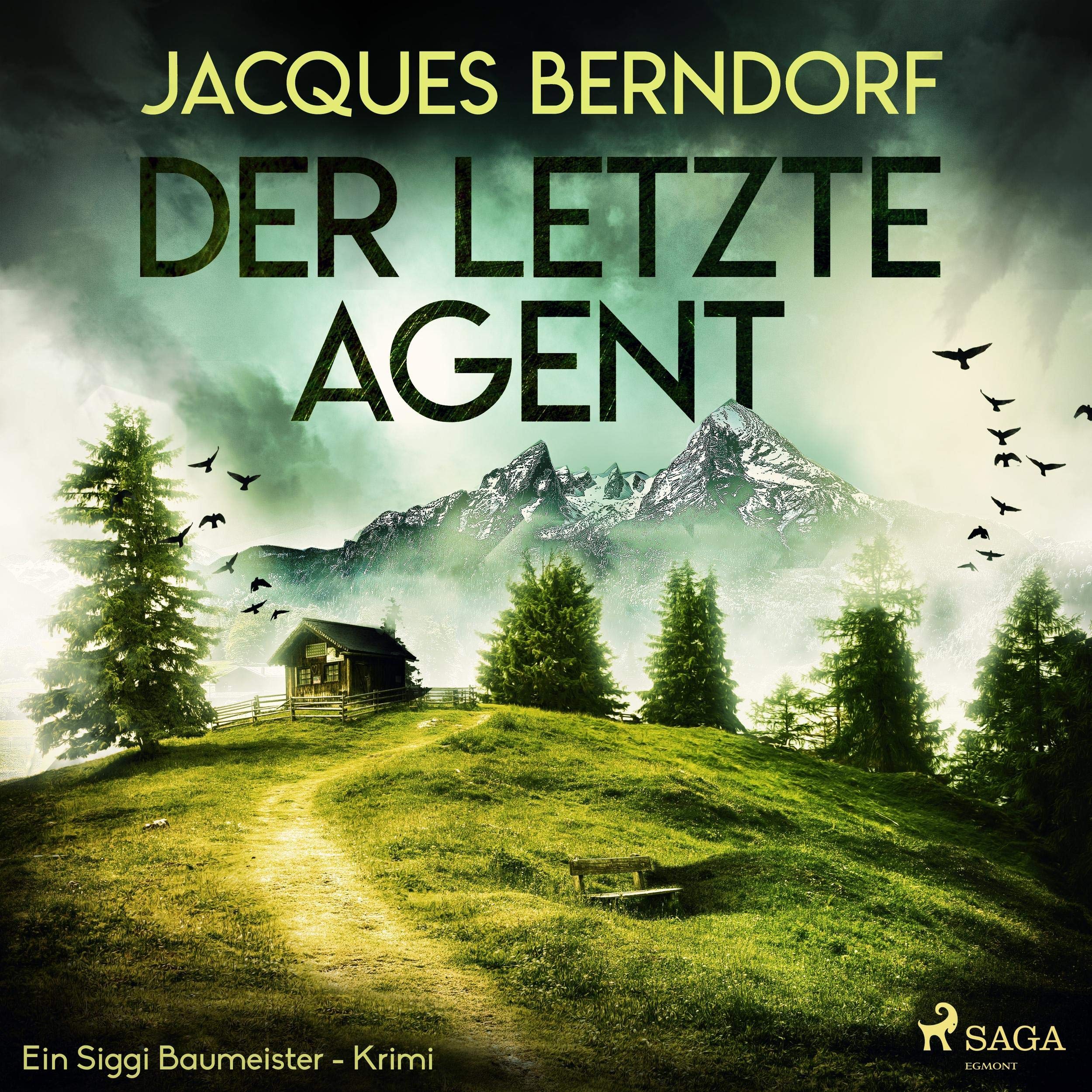 Cover art for Der letzte Agent