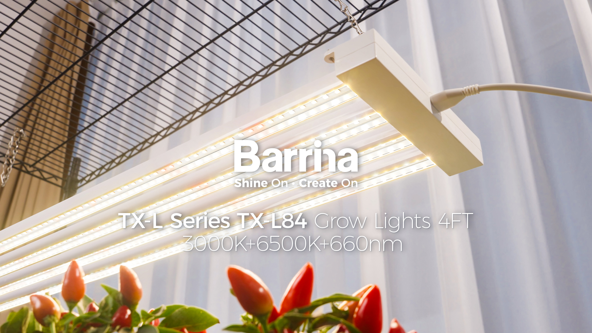Amazon.com : Barrina TX-L84 4FT Grow Lights for Indoor Plant, 336W