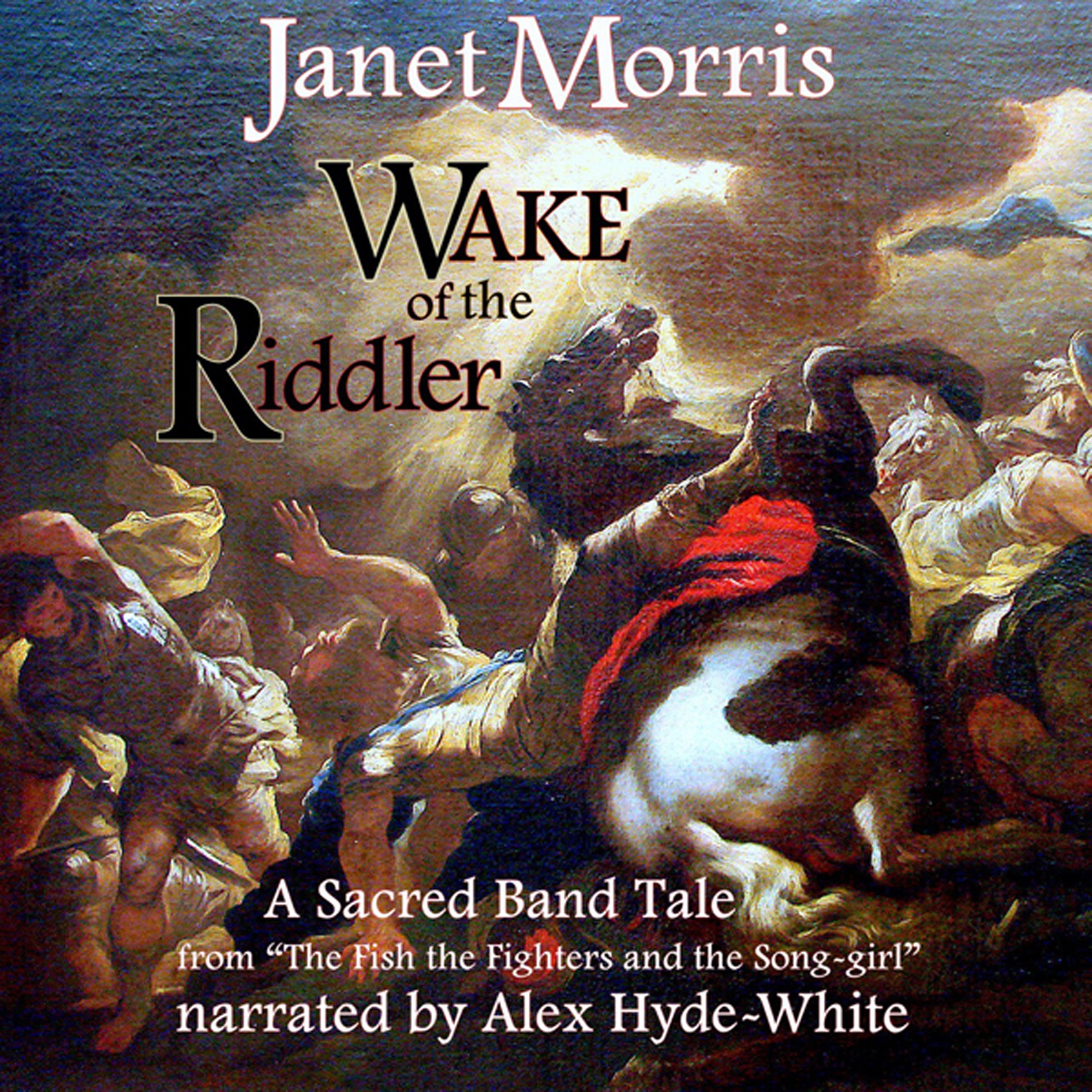 Book cover for Wake of the Riddler