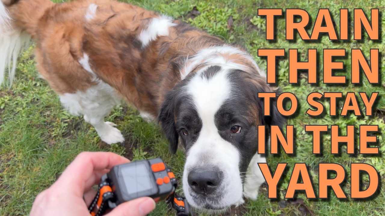 Watch GPS Wireless Dog Fence System with Two Boundary Modes on Amazon Live