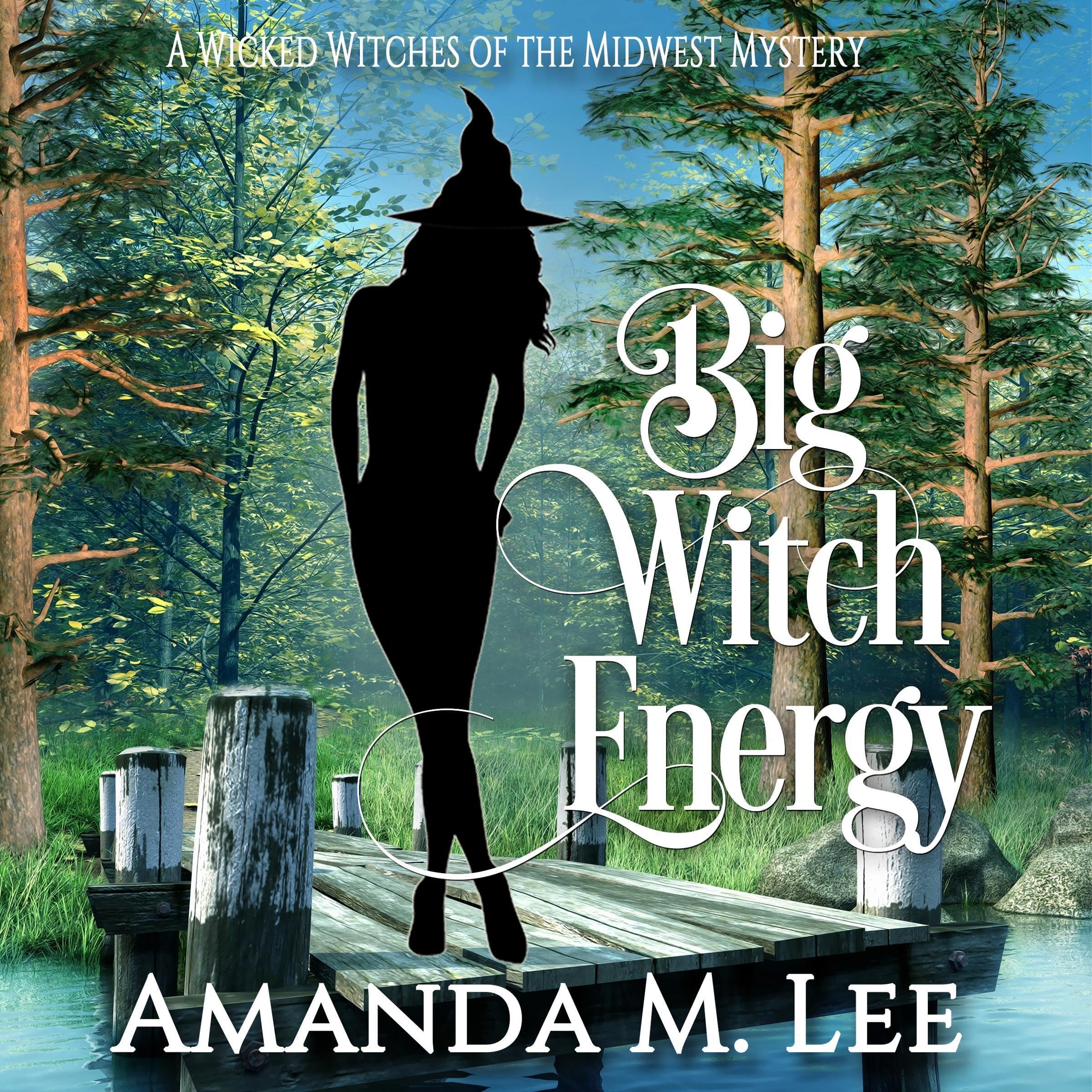 Cover art for Big Witch Energy