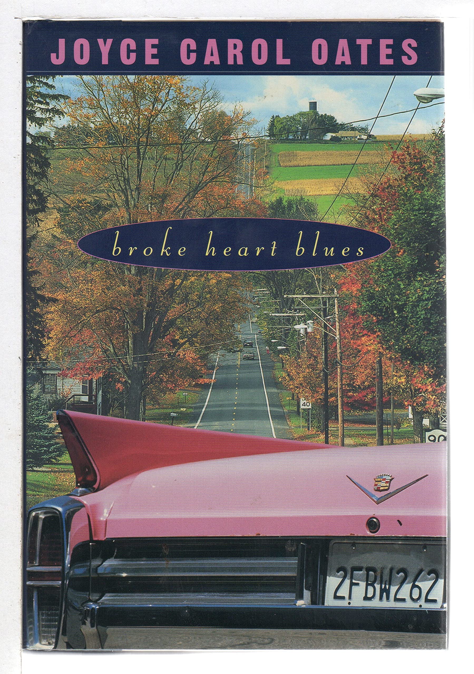 Buy Broke Heart Blues โ BookShops.in