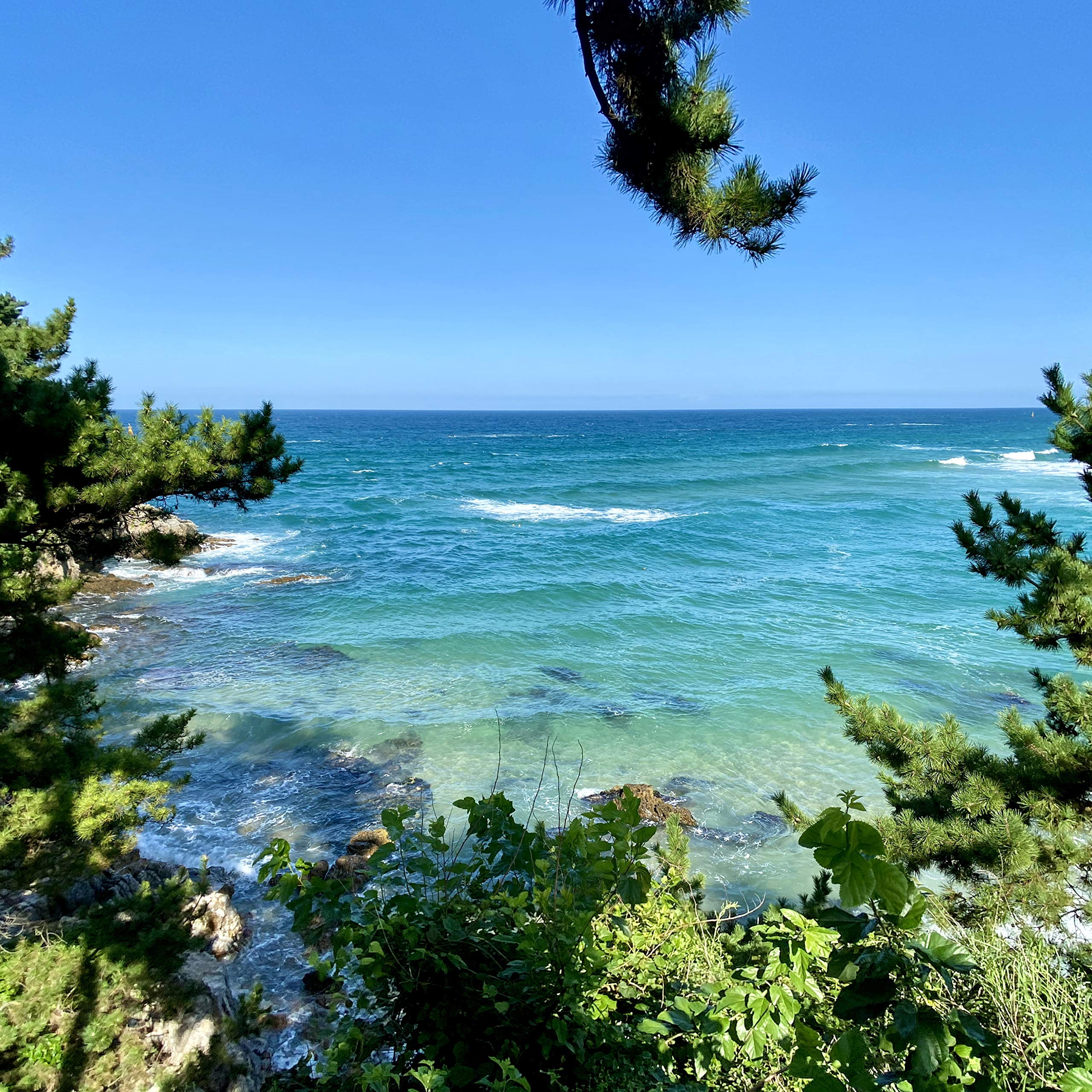 It Must Have Been Love