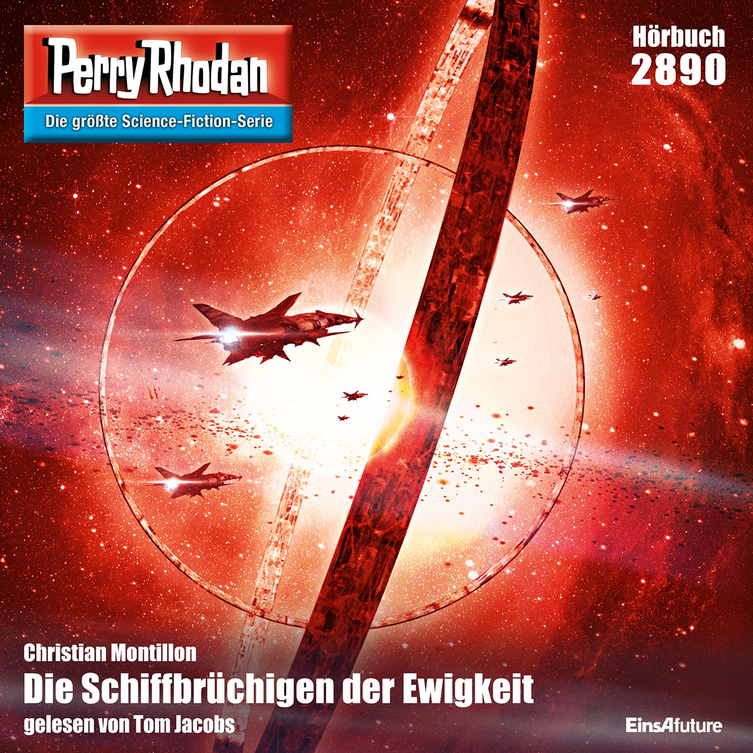 Cover art for Die Schiffbrüchigen der Ewigkeit