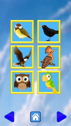 Animal Sounds - KIDS Edition