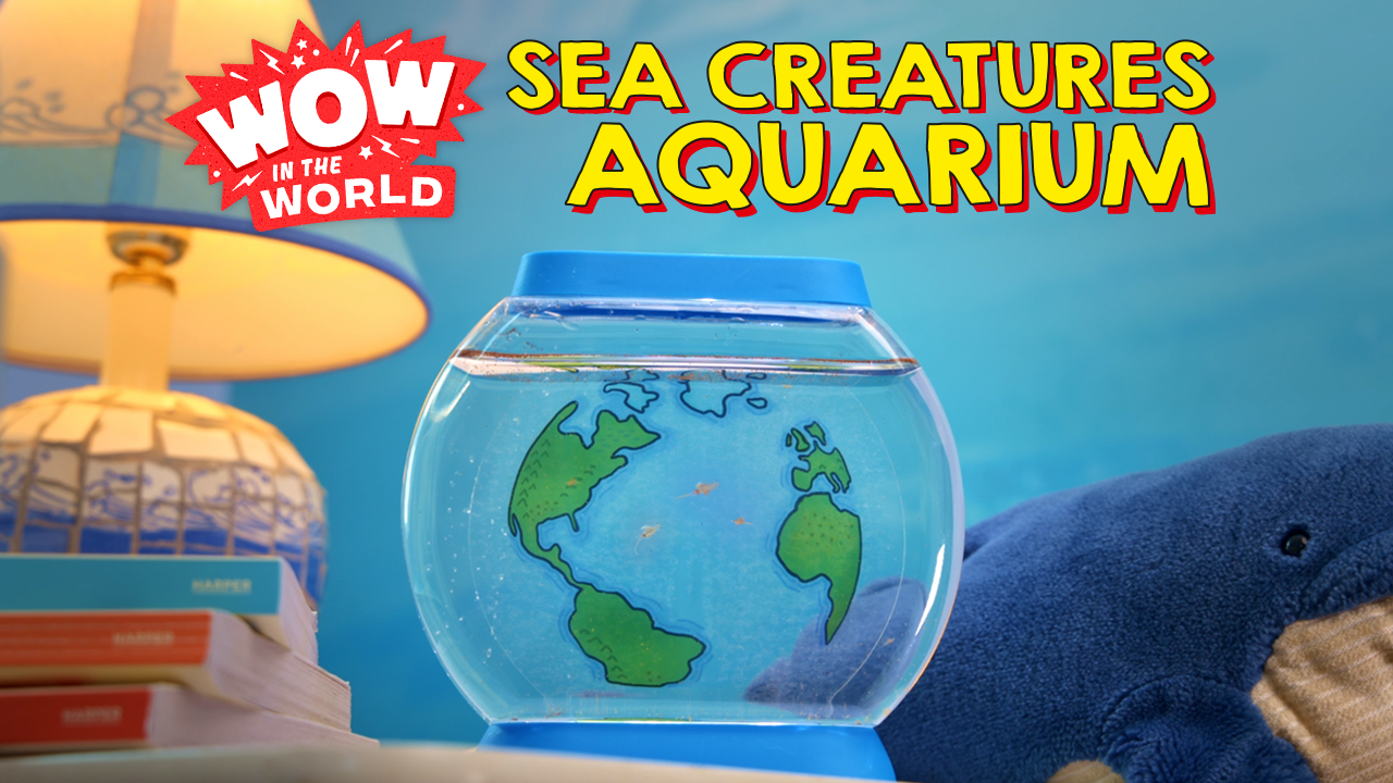 Amazon.com: Wow in the World SEA Creatures Aquarium | Hatch & Raise Real  Brine Shrimp (Easy Care), Customizable Tank, Companion Audio Content, Bonus  Reusable Science Tool, STEM Toy for Kids 6+ by