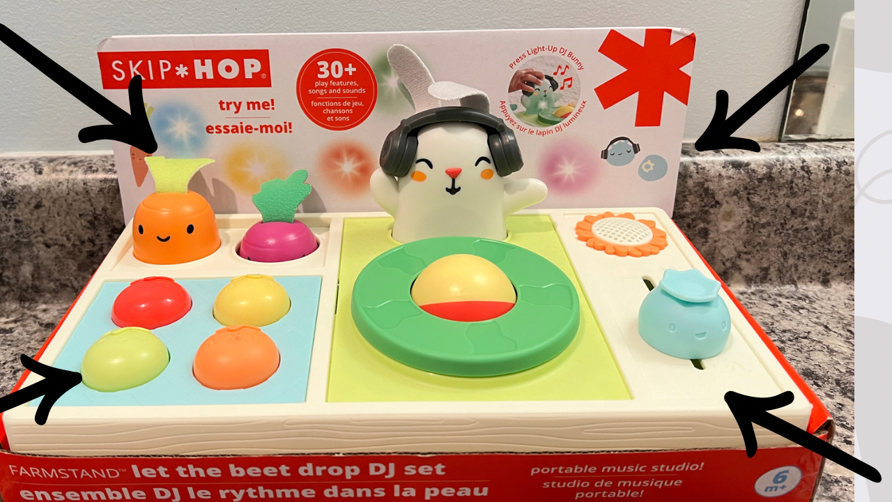 Watch Review - Skip Hop Baby Musical DJ Set Toy with Lights, Songs