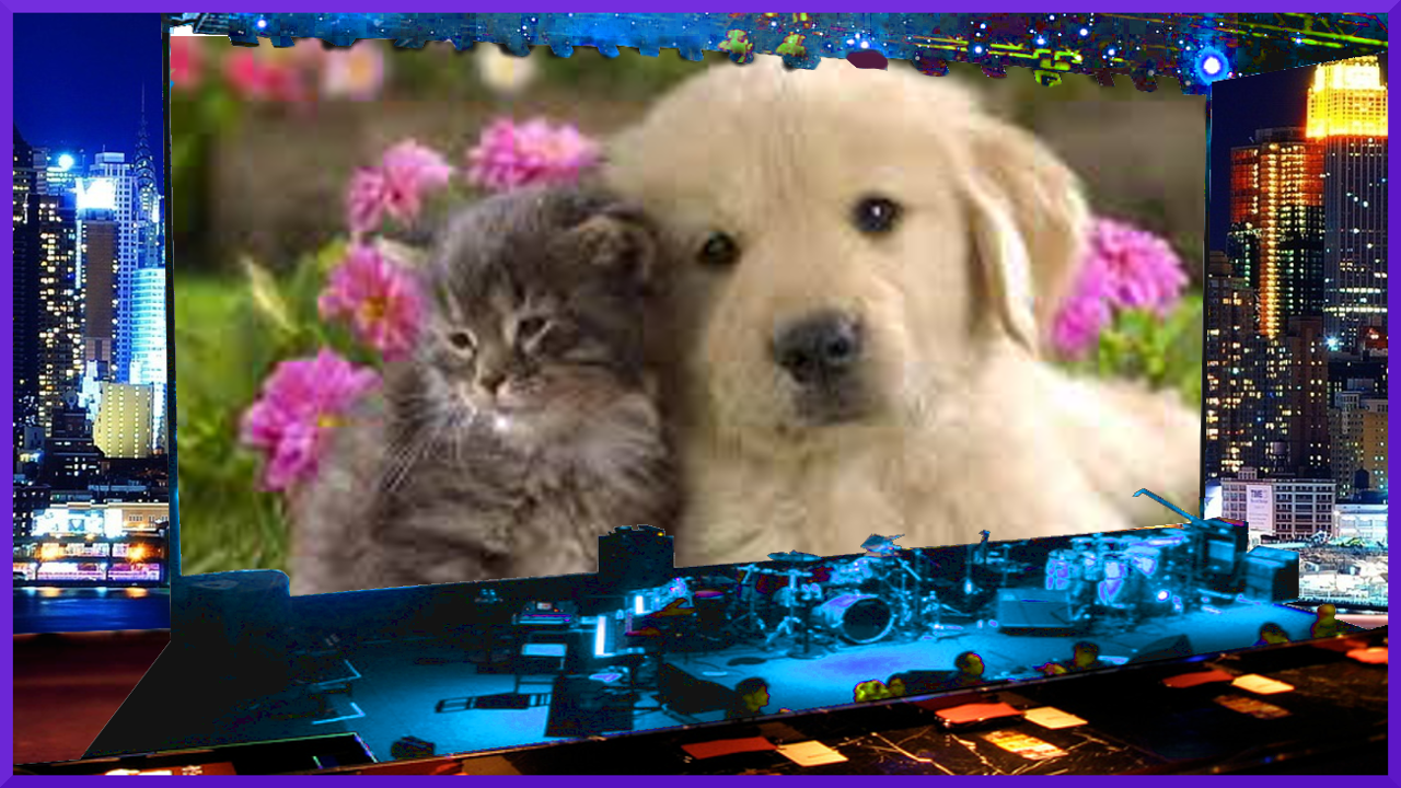 Live Billboard Frame PhotoAmazon.inAppstore for Android