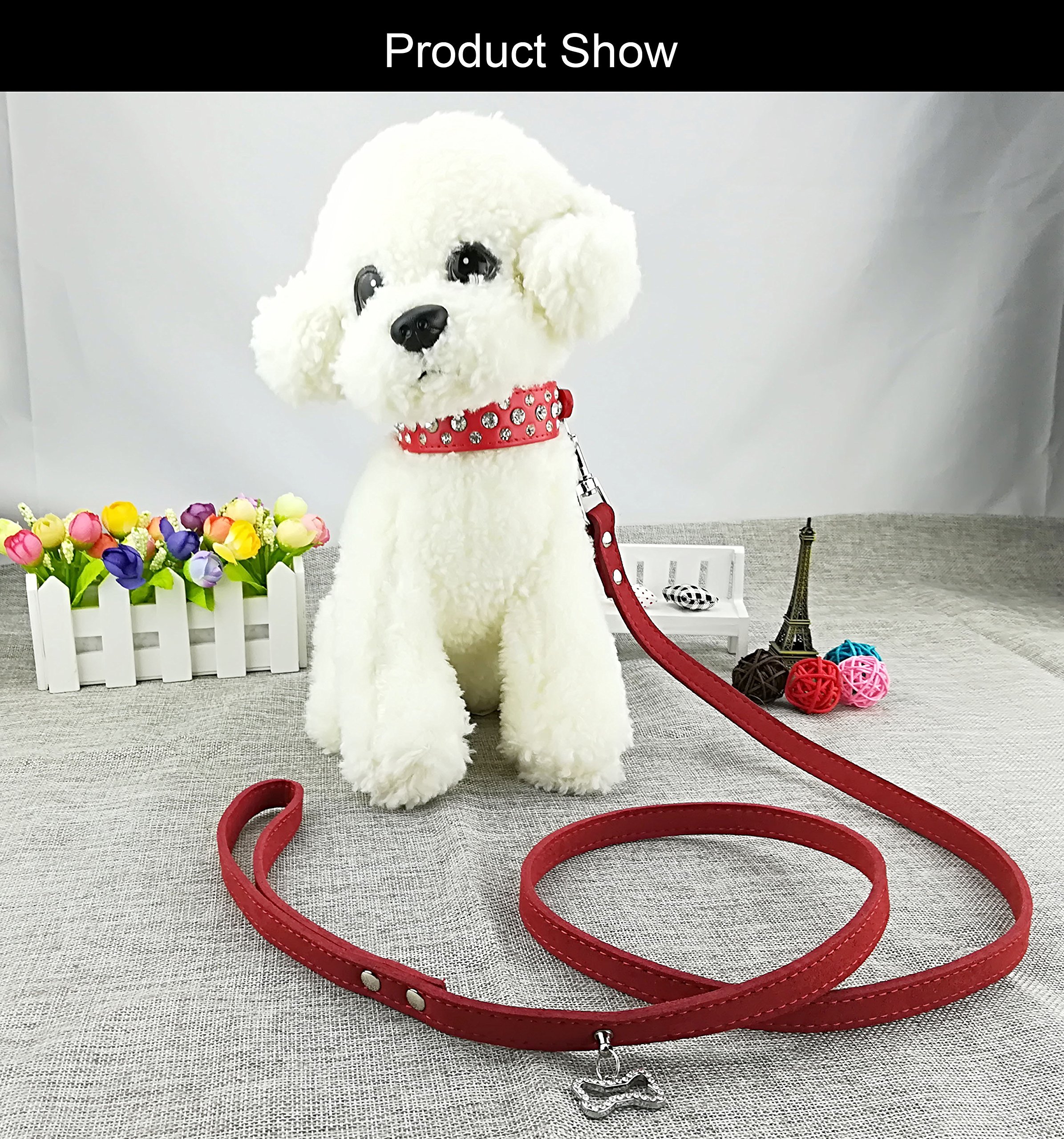 Newtensina Fashion Dog Collar and Lead Set Bling Puppies Collar Cute Diamante Dog Collar with Leashes - Red - M