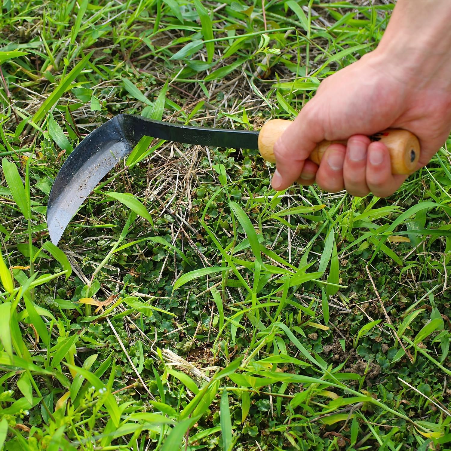 KAKURI Japanese Weeding Sickle Hoe Garden Tool 4.7", Made in Japan, Nejiri Gama Hand Weeder for Scraping and Cutting Weeds, Razor Sharp Laminated Japanese Carbon Steel Blade
