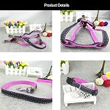 Ver la foto 6