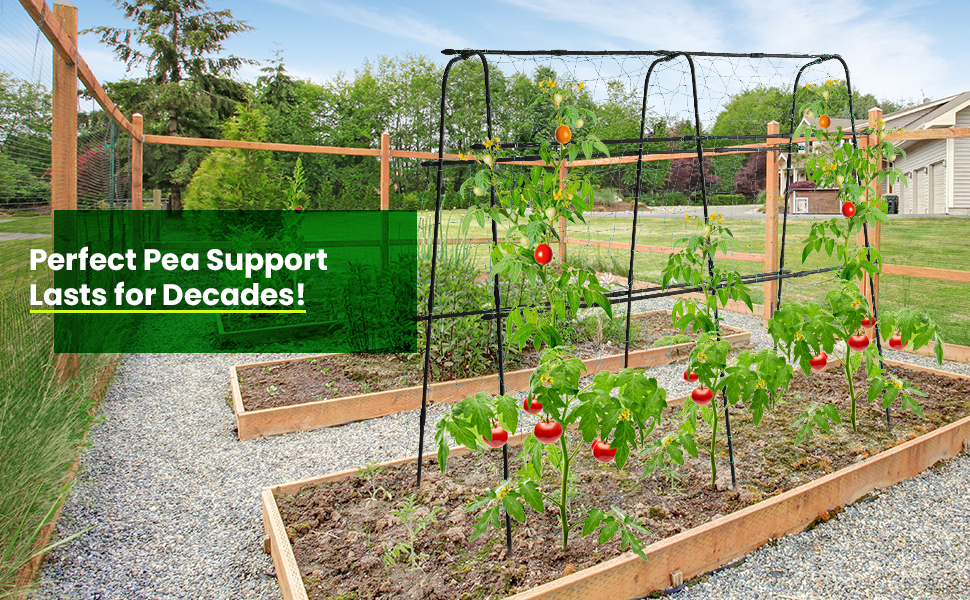 Maxpack® Tuteur De Jardin Tour De Concombre Anneaux De Support En Acier Alliage Pour Plantes En Pot Grimpantes Tomates Concombre Cage Treillis Robuste (H: 60cm