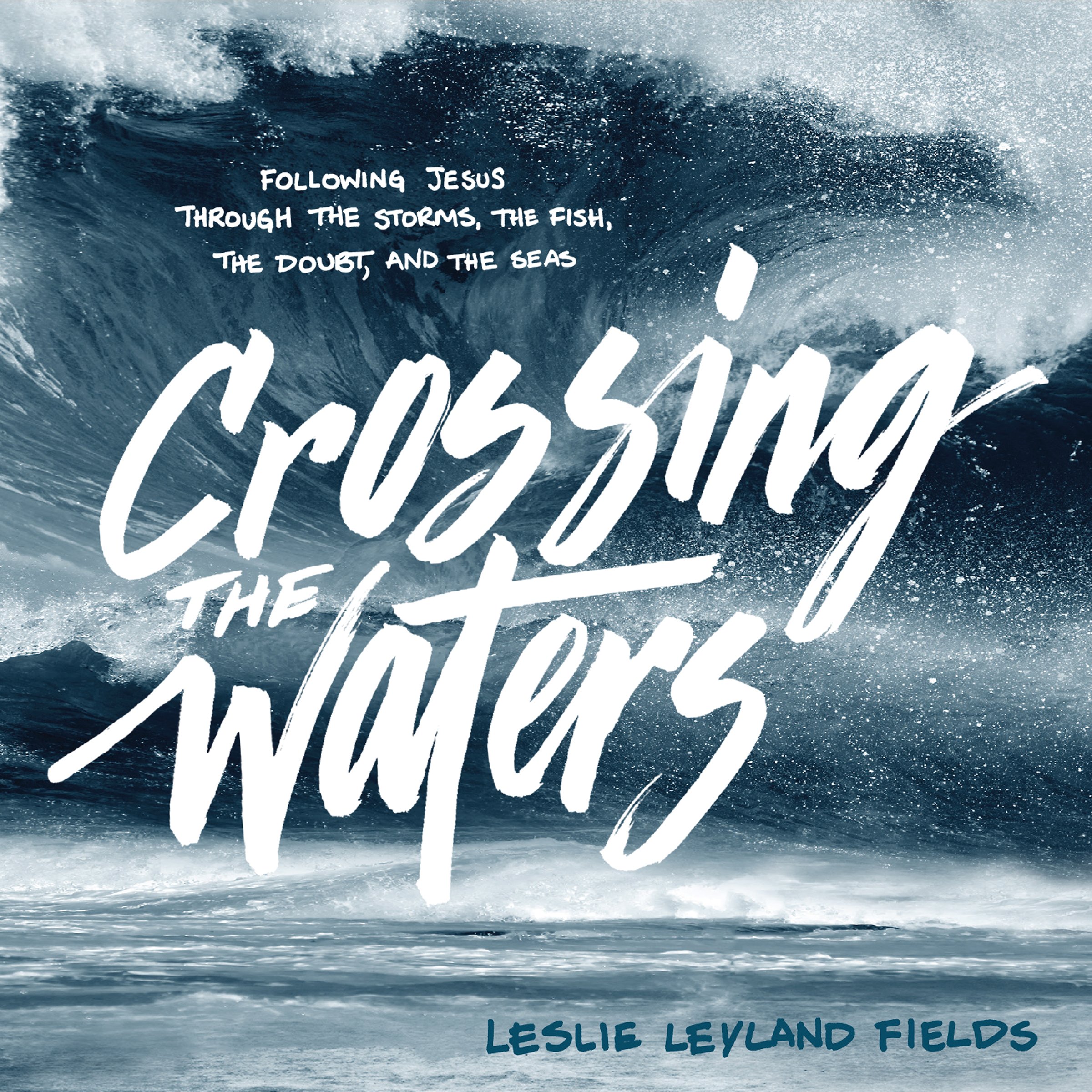 Cover art for Crossing the Waters