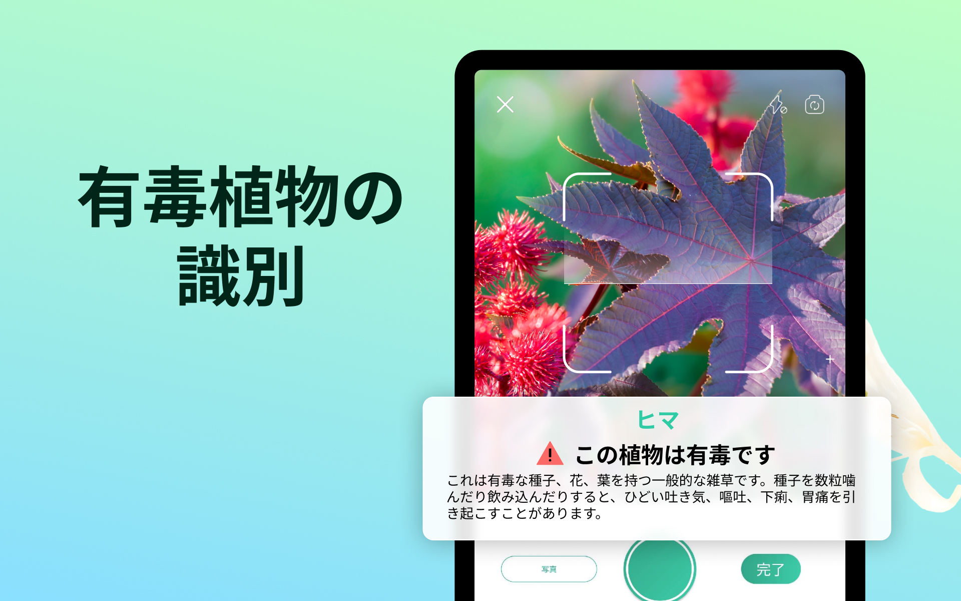 きよら様　確認用ページ　ピクチャーデイズも在庫あれば追加予定 きよら様 確認用ページ ピクチャーデイズも在庫あれば追加予定 Z/X(