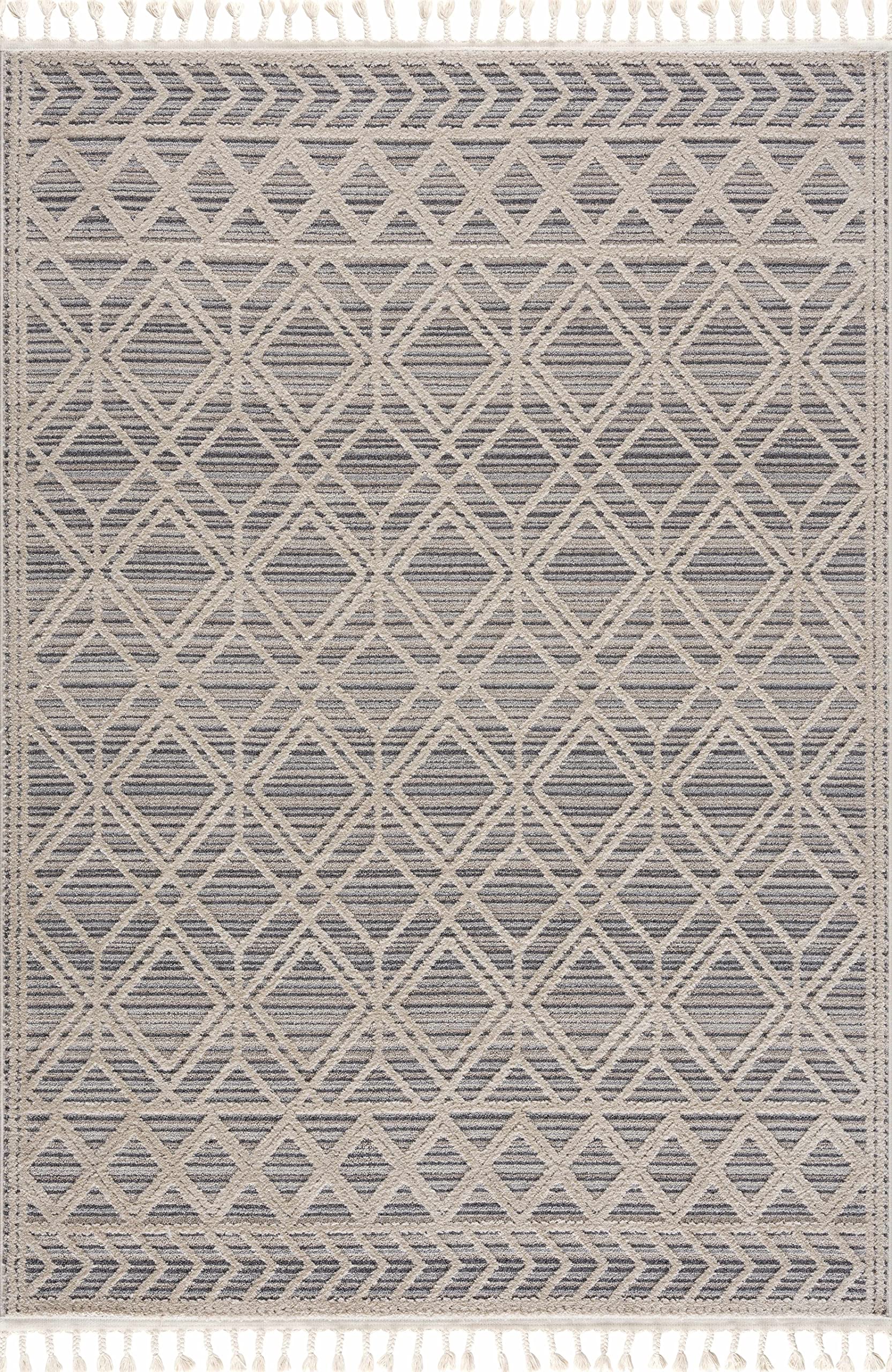 Hauteloom Amberley MGN-2300 - Molde Moroccan Farmhouse Living Room Bedroom Area Rug with Tassel - High Low Carpet - Tribal Boho Style - Southwestern