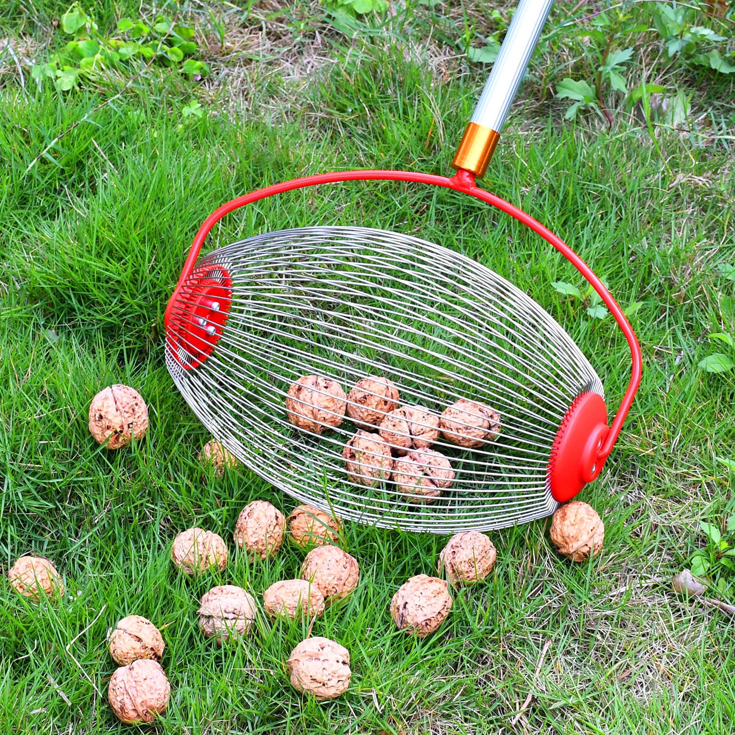 Spetebo Rollsammler Nusssammler Obstsammler mit Alu Teleskopstiel 120 cm | Großer Erntekorb, Äpfel Birnen Kastanien, Nüsse, Tennisball Golfball