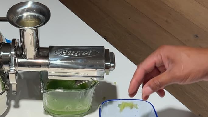 Amazon.com: Angel Juicer AG-7500 Stainless Steel Premium