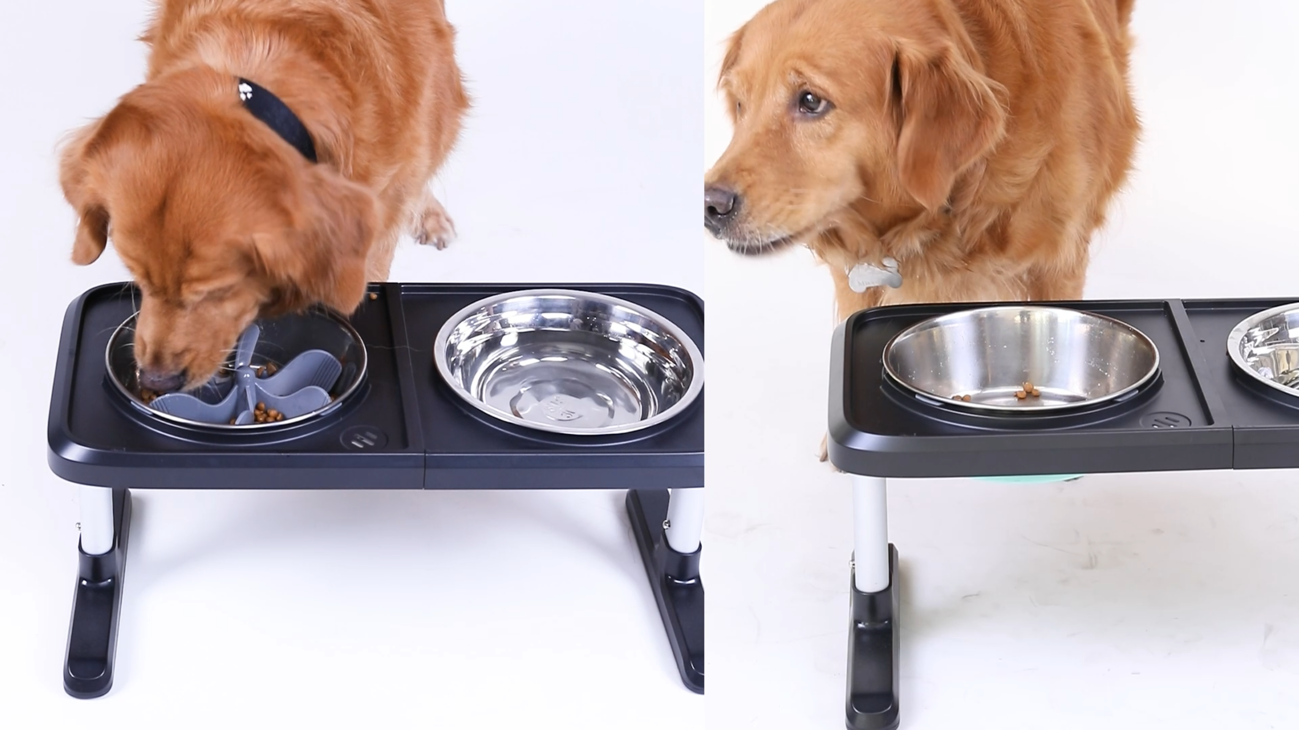 Keegud Slow Feeder Dog Bowls Insert [36 Octopus Suction Cups] Super