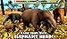 Elephant Simulator