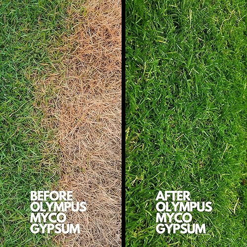 Miniatura 6 de Olympus Myco Polvo de yeso (sulfato de calcio dihidratado) para enmienda del suelo y sustrato de hongos  1 lb