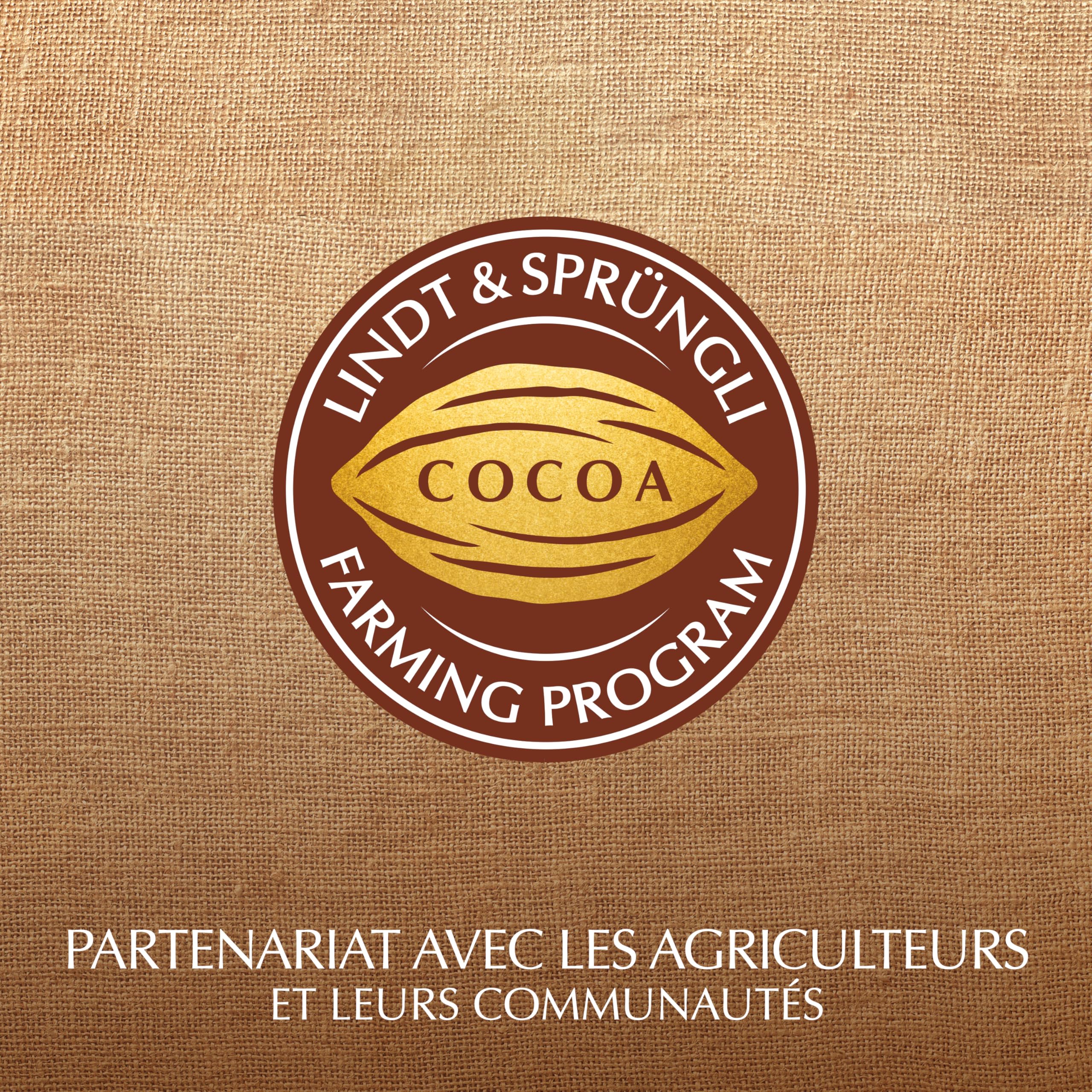 Lindt - Ballotin LES PYRÉNÉENS - Chocolat au Lait - Frais et Fondant - Idéal pour Noël, 175g