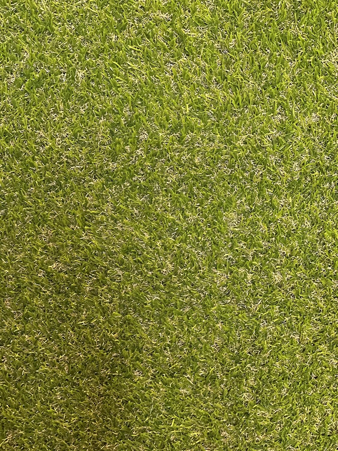 Amazon.com : Realistic Artificial Grass Turf - Indoor Outdoor Garden ...