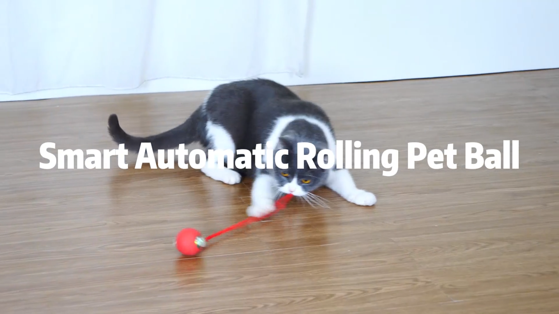 Interactive Electric Automatic Rolling Moving USB Rechargeable Self Activated Play Stimulation Toy Smart Chase Teaser Ball with Speedy Tail Rope for Bored Adult Indoor Cats and Dogs, Red - image 7