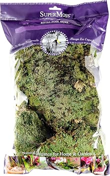 SuperMoss 21883 Royal Pool Moss Preserved, 200 in3 Bag Appx. 8oz, Fresh Green