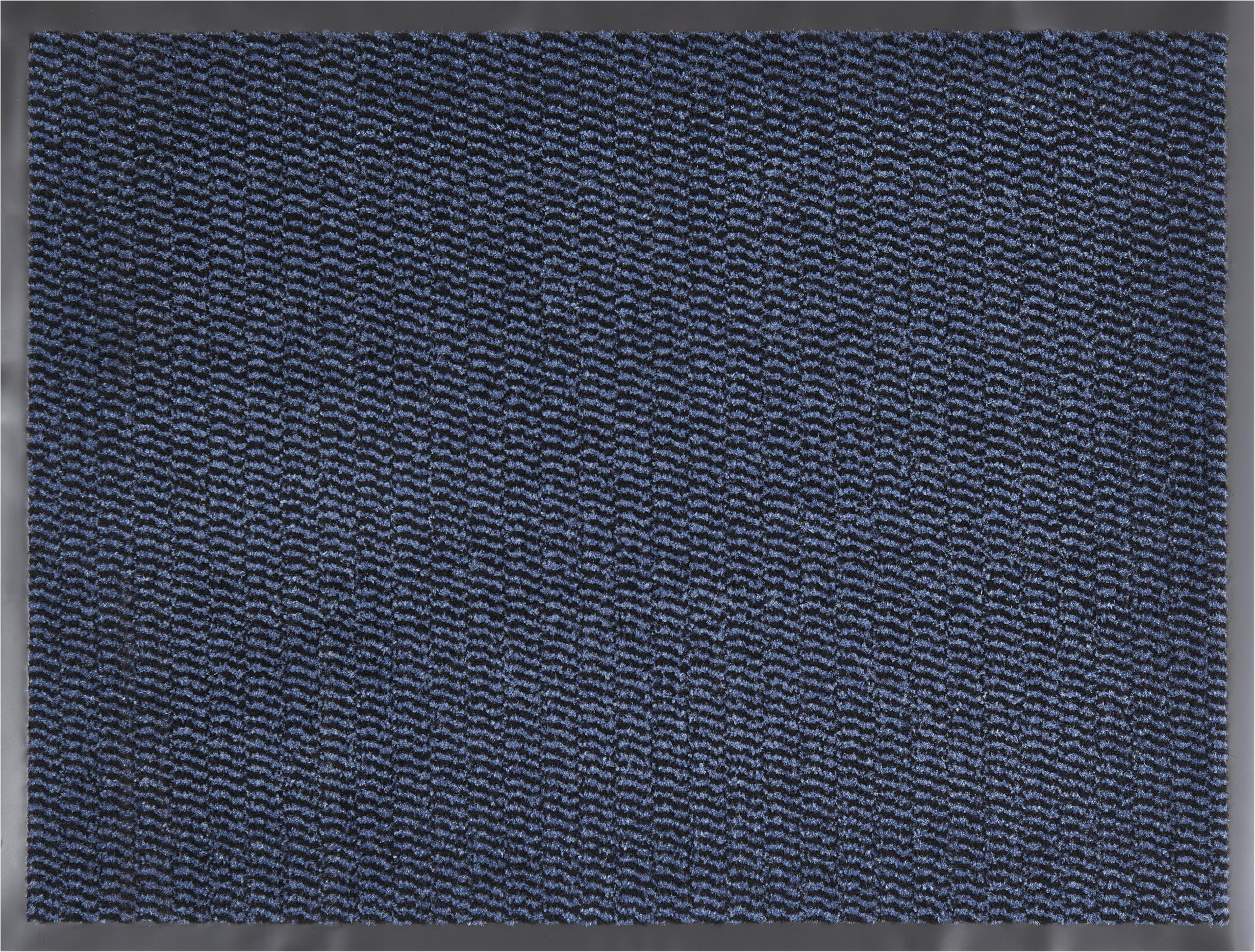 Andiamo Easy Doormat, Dirt Trapper for House Entrance, Flexible Use Inside, Covered Outdoor Areas or as Shoe Mat, 40 x 60 cm, Blue
