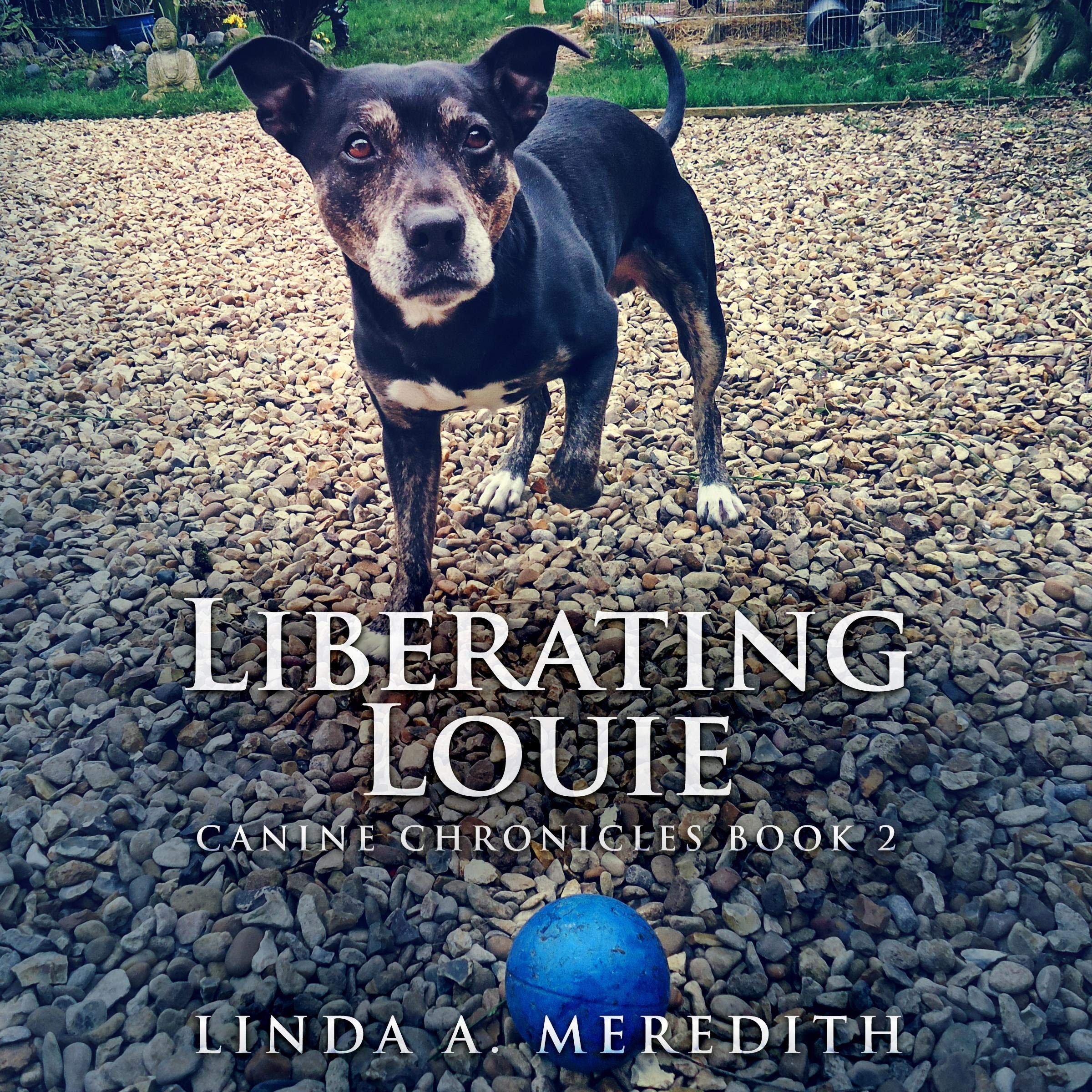 Cover art for Liberating Louie