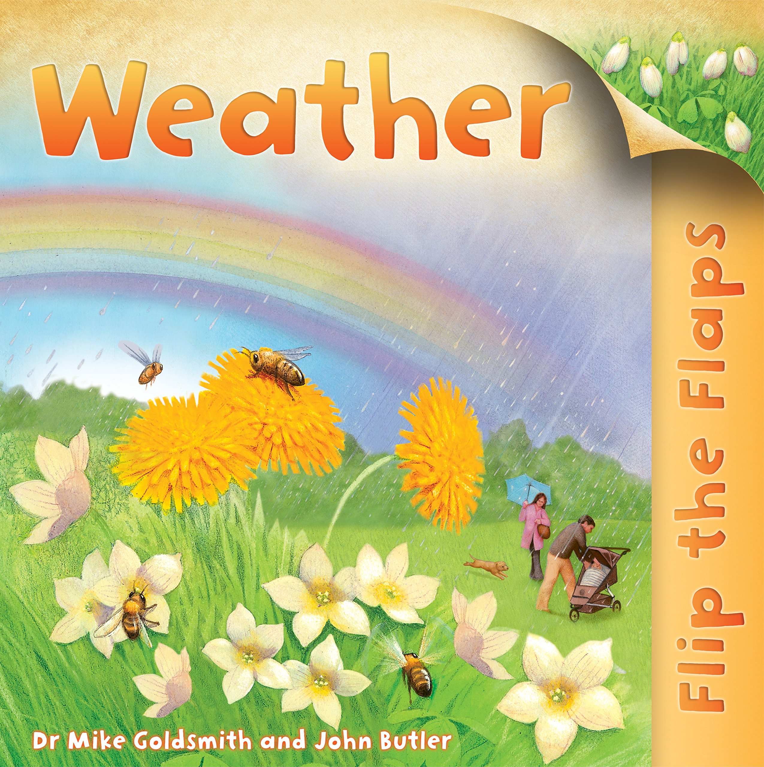 MACMILLAN Flip the Flaps: Weather