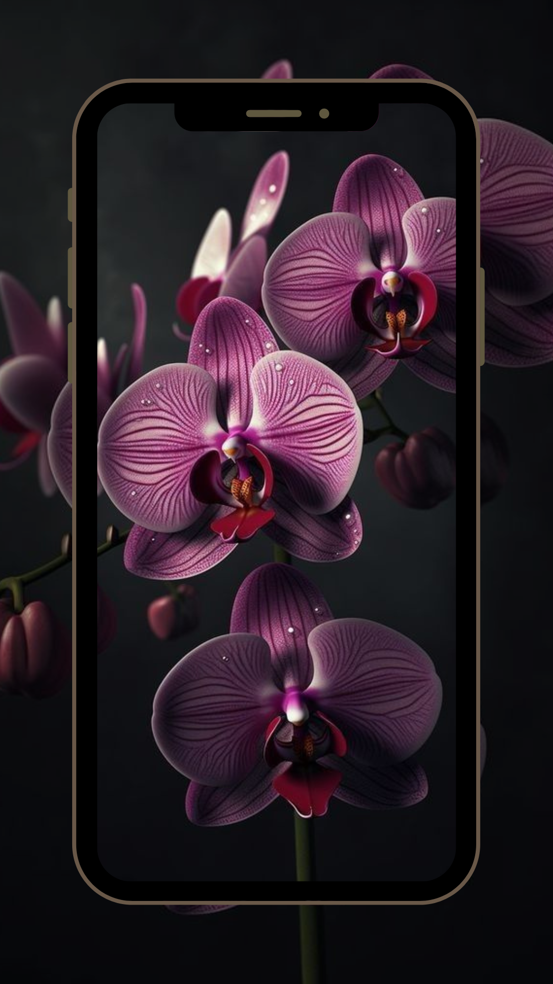 Orchids Wallpaper HD - App on the Amazon Appstore