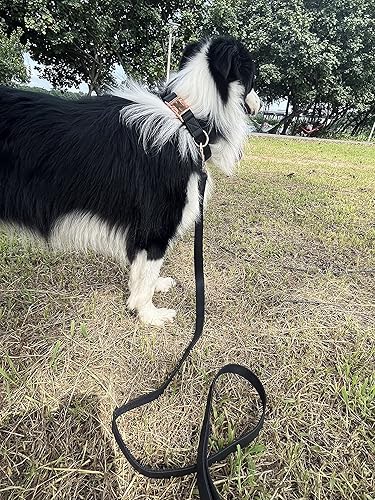 Miniatura 10 de Juego de collar y correa para perro. Cuero vegano suave y fácil de limpiar con hebilla de metal oro rosa para perros pequeños, medianos y grandes