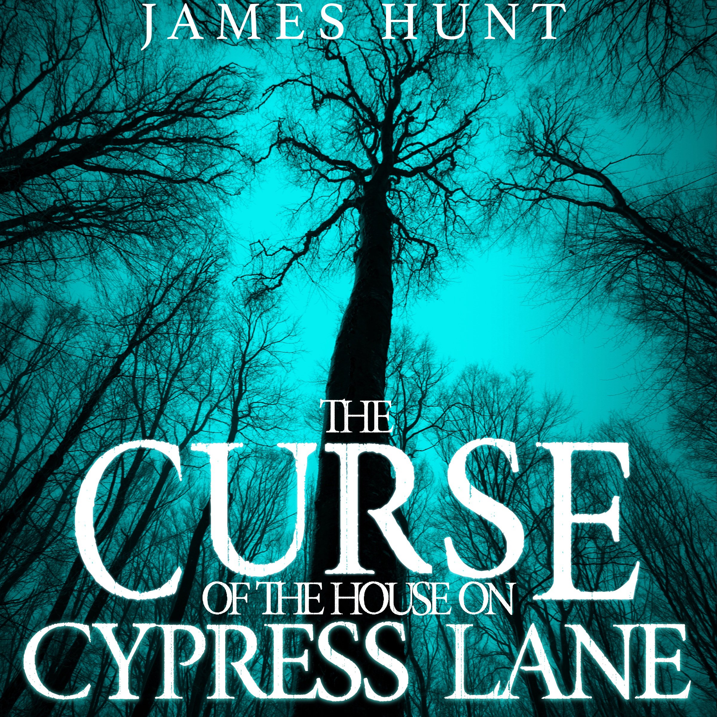 Cover art for The Curse of the House on Cypress Lane