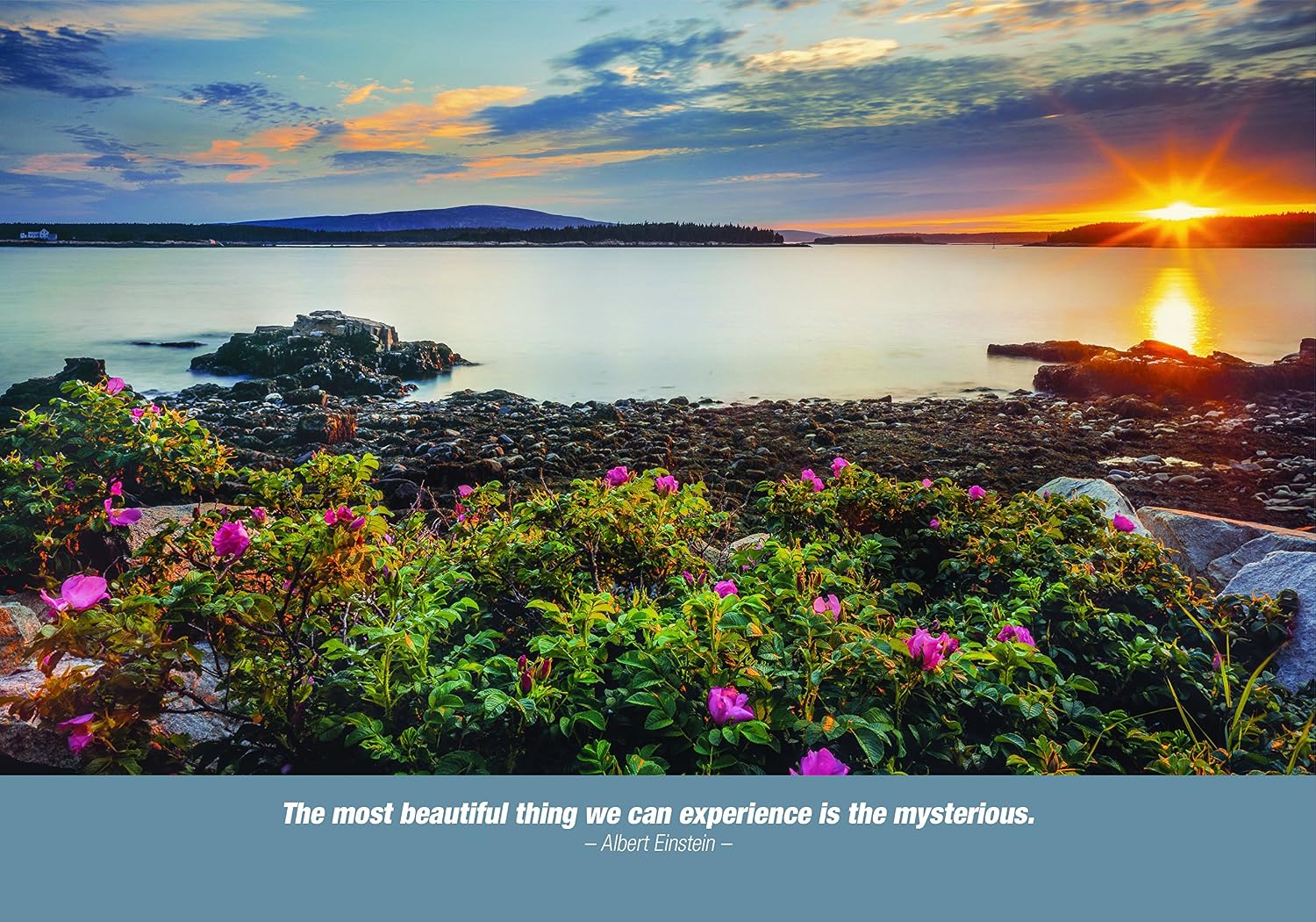 Simply Calendar"Inspiration" 2019 Wall Calendar - 11" x 17.5" (Open)