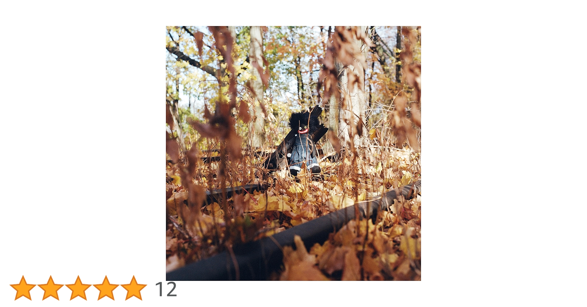 billy woods golliwog japan edition 限定 GOLLIWOG | billy woods